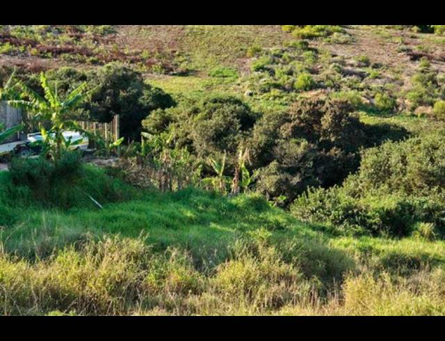 LAND FOR SALE IN DANA BAY